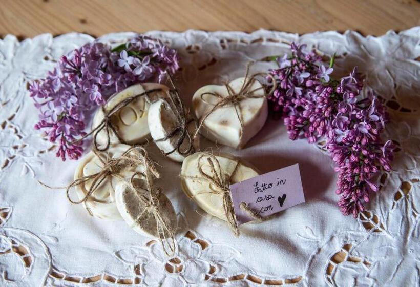 Отель Chalet Genziana