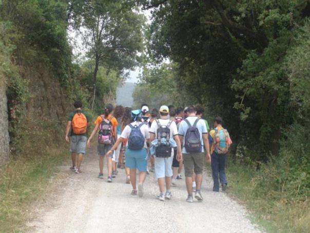 בית מלון כפרי Il Pino