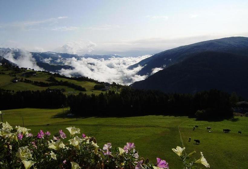 酒店 Pension Schifferegger