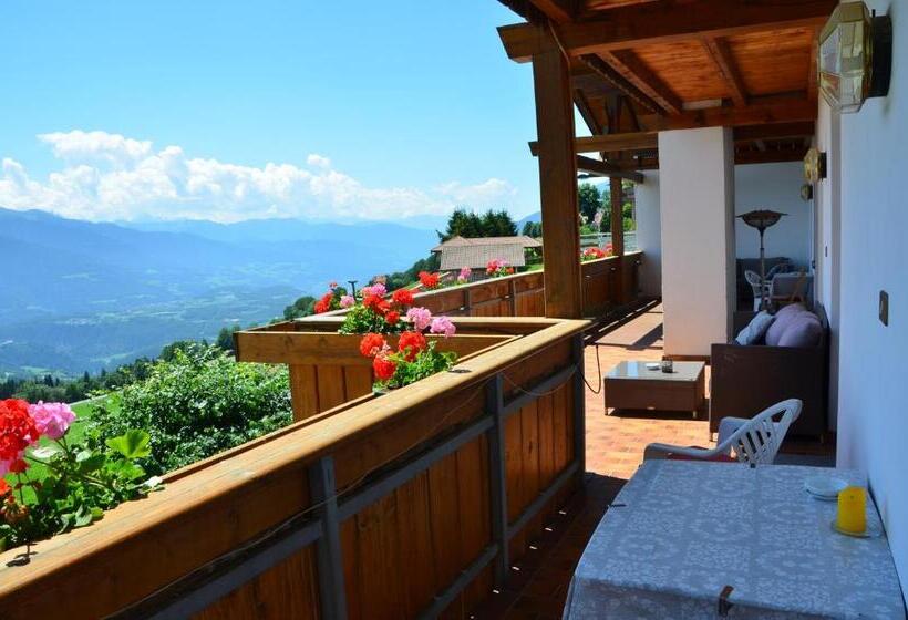 酒店 Pension Schifferegger