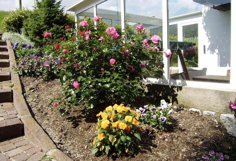 酒店 Pension Schifferegger