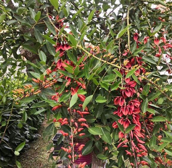 住所 Appartamenti Villa Ancora