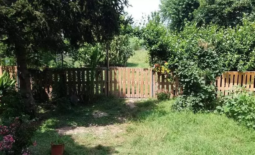 Aamiaismajoitus (B&B) Serendipity