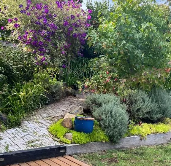 Aamiaismajoitus (B&B) Brophys Beach Studio