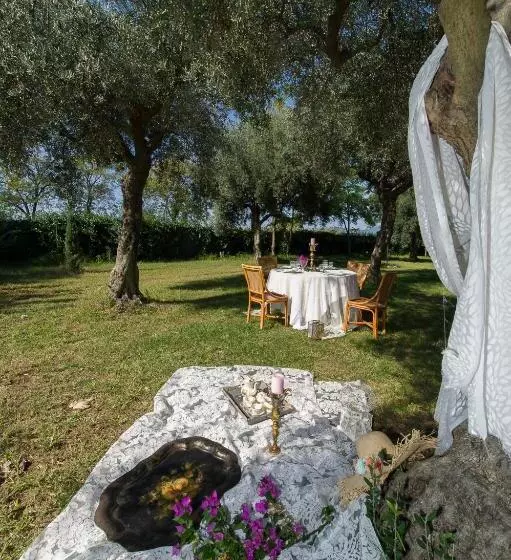 ホテル Agriturismo Masseria Pozzo