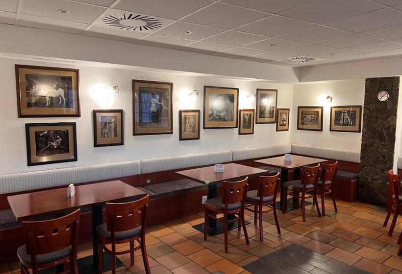 酒店 Pohostinství V Holi