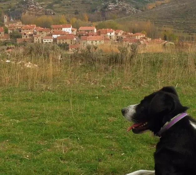 ホテル Rural El Rincón De Marta