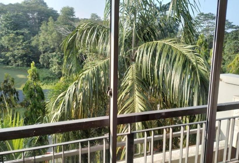 پانسیون Property King