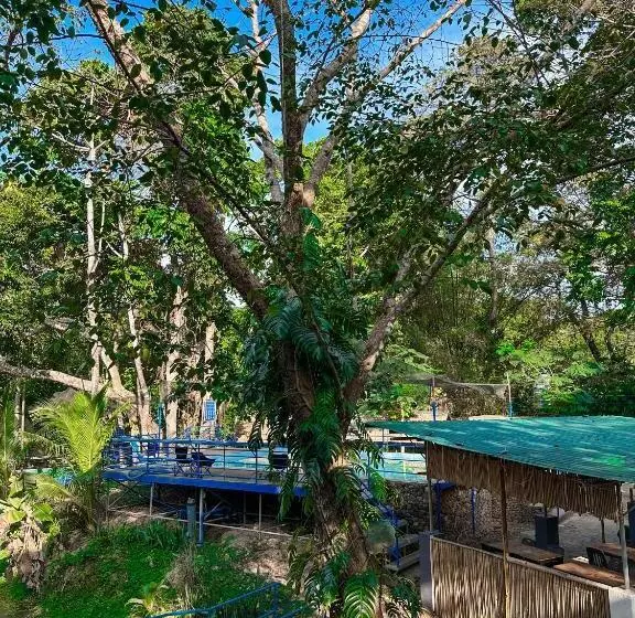 El Bosque Resort Coron