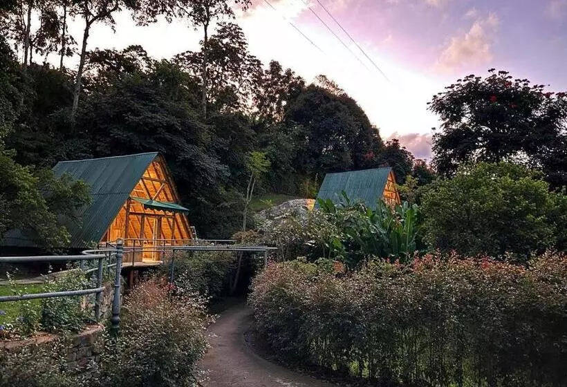 Hotelli Boscaje Solarpunk Habitat