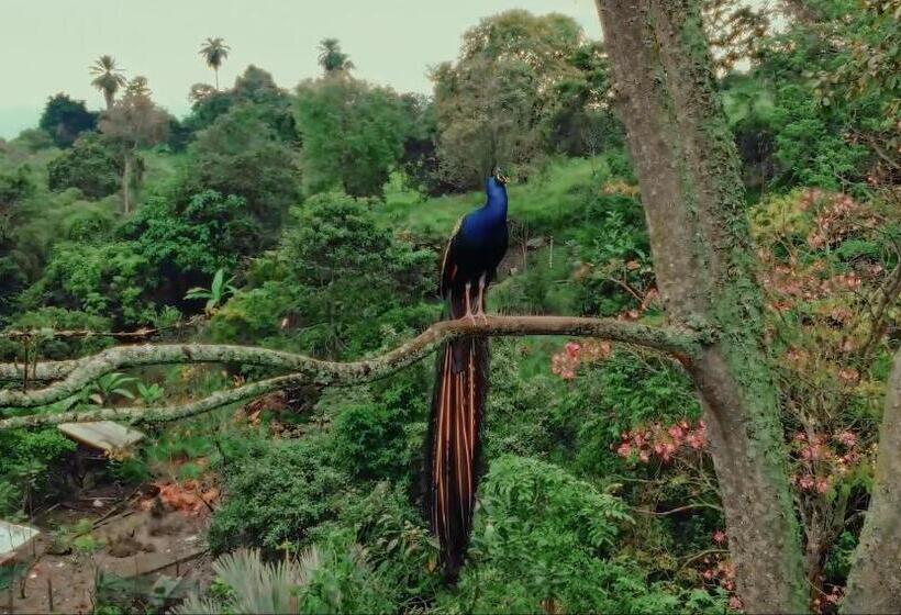 Hotel Boscaje Solarpunk Habitat