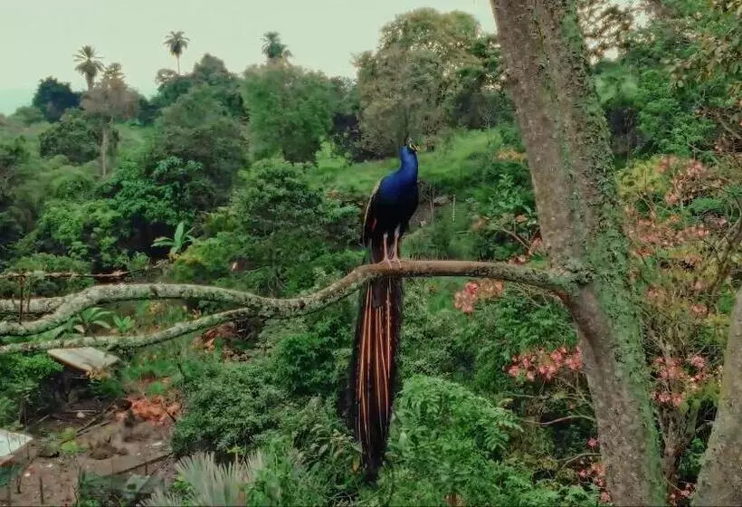 Hotelli Boscaje Solarpunk Habitat