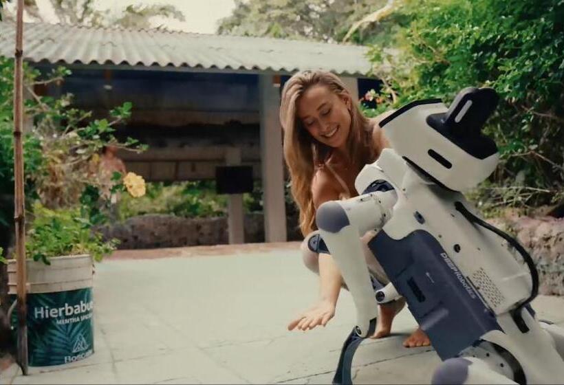 Hotel Boscaje Solarpunk Habitat