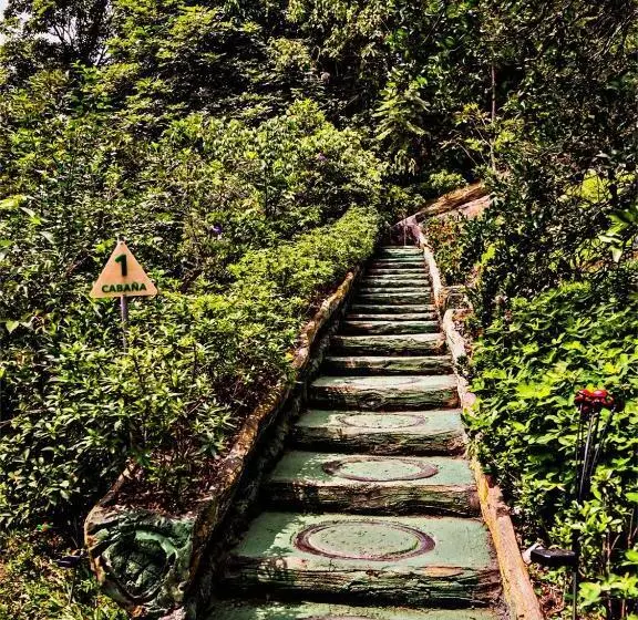 Hotelli Boscaje Solarpunk Habitat