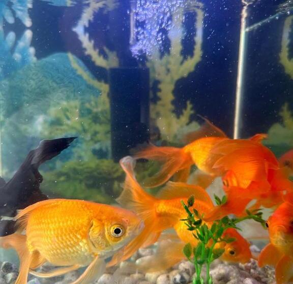 Отель E I Residency Manage By Sb Group