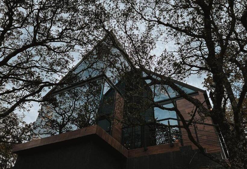 فندق La Forêt Cabañas Boutique