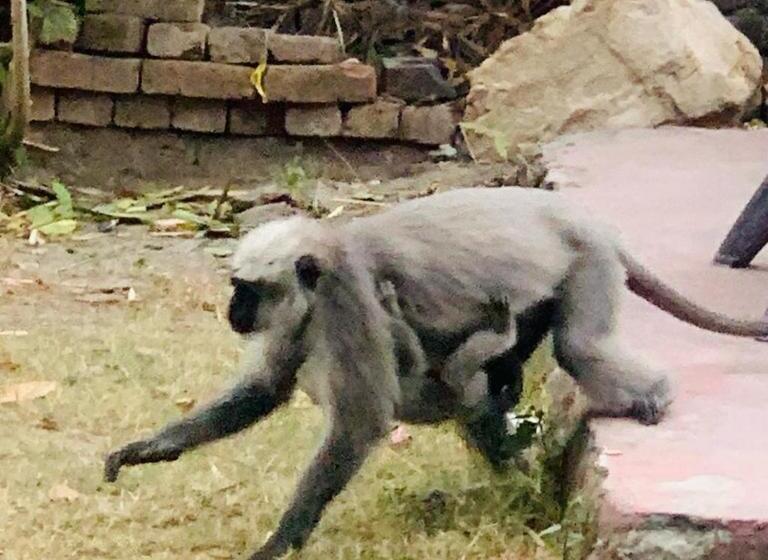 Hotelli The Roxxy Royal Resort