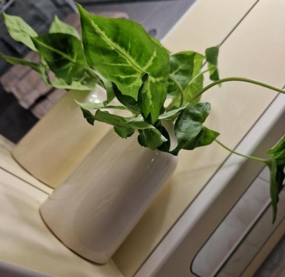 House Olive Garden Strunjan