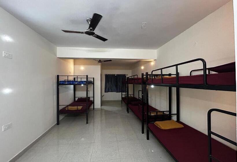 Lostel   Backpacker Hostel