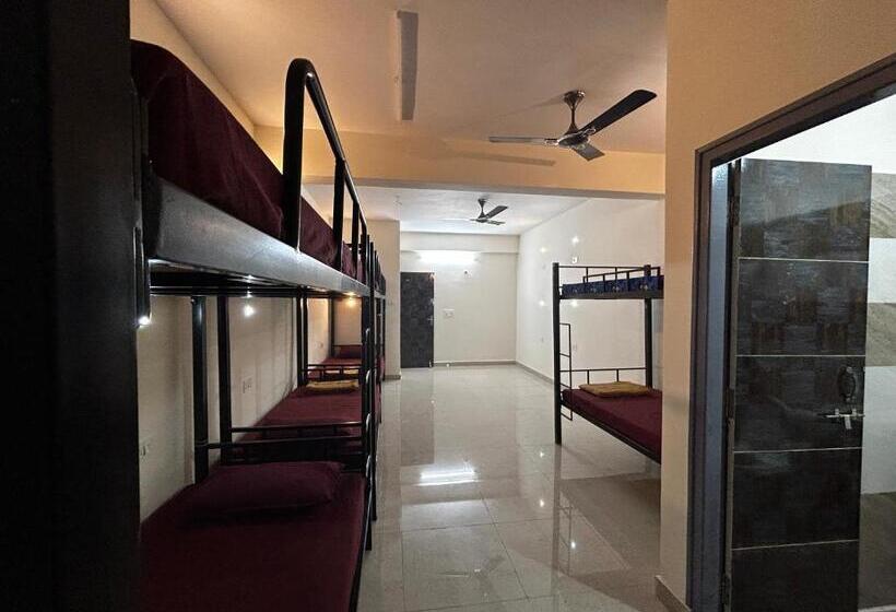 Lostel   Backpacker Hostel