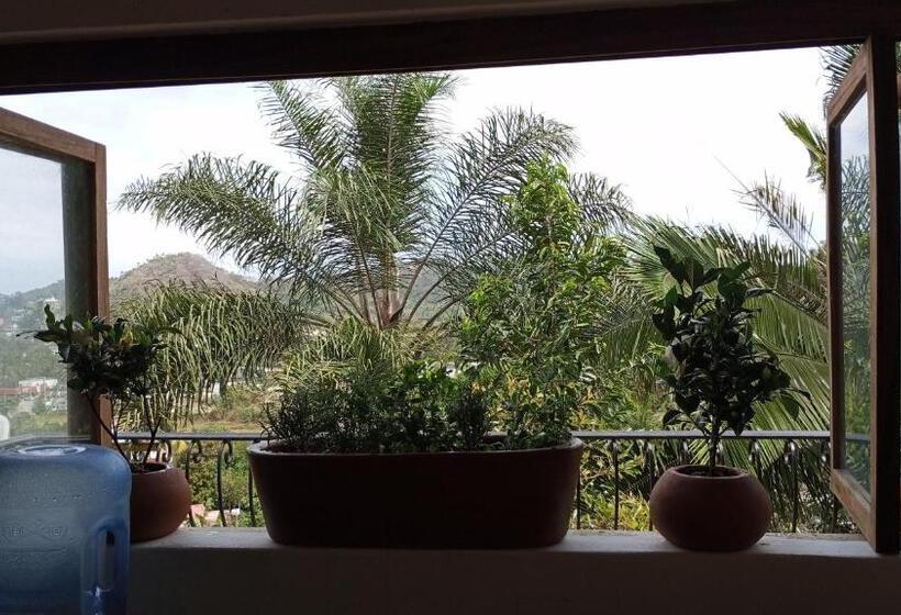 بنسيون Sancha S House