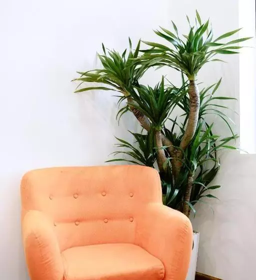 هتل Mộc Châu Harmony
