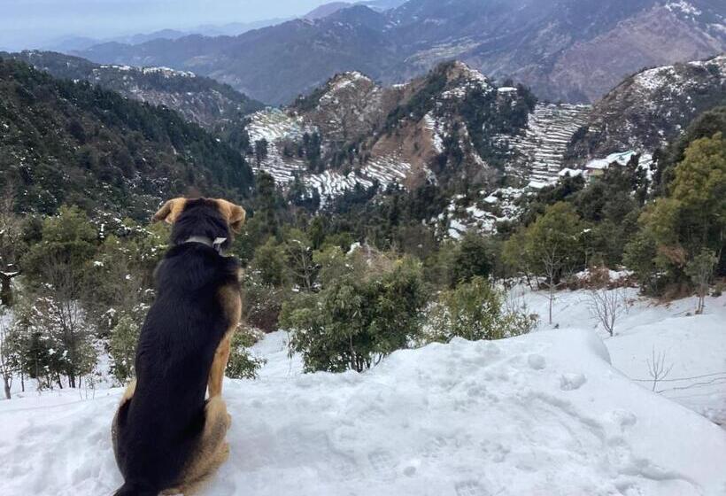 צימר Pine Cottage