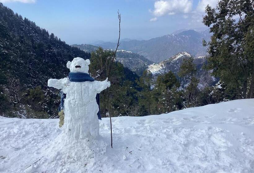 צימר Pine Cottage