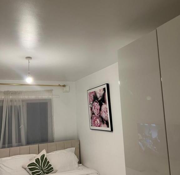 Bed and Breakfast Stars Luxury Home