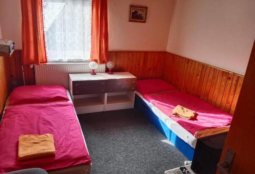 Пансион Penzion U Skrblika