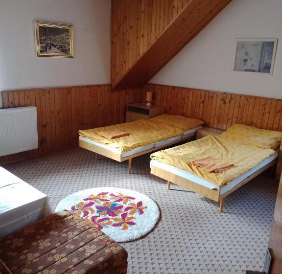 Пансион Penzion U Skrblika