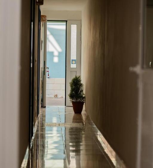 Majatalo Affittacamere Anemone  Scirocco1 By Casavacanze Di Angelo