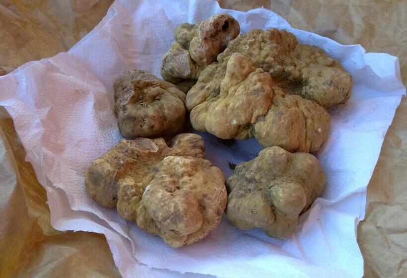 Aamiaismajoitus (B&B) Arco Dei Nobili