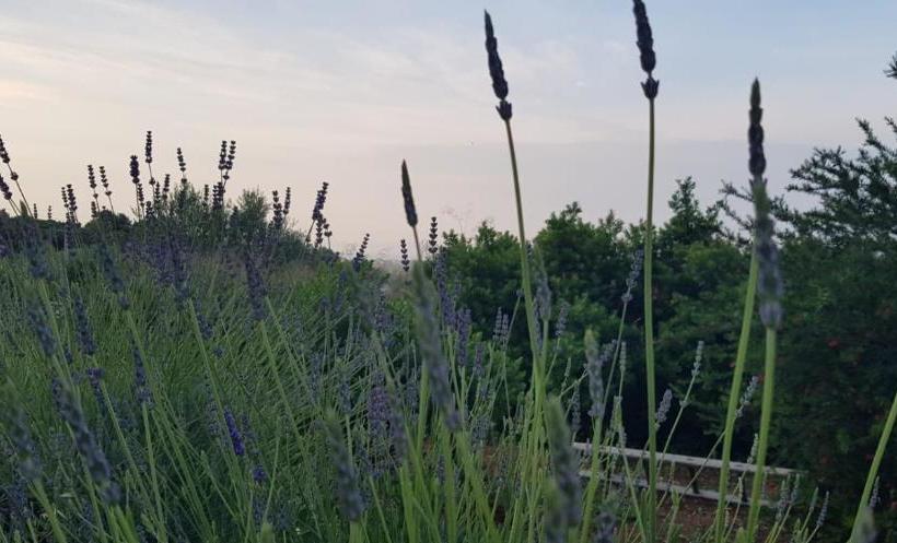 Guest House B&b Pietra Bianca