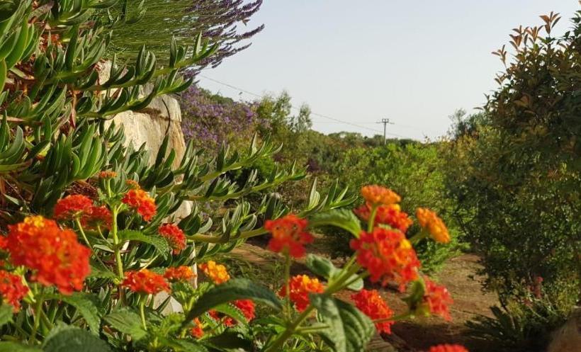 Guest House B&b Pietra Bianca