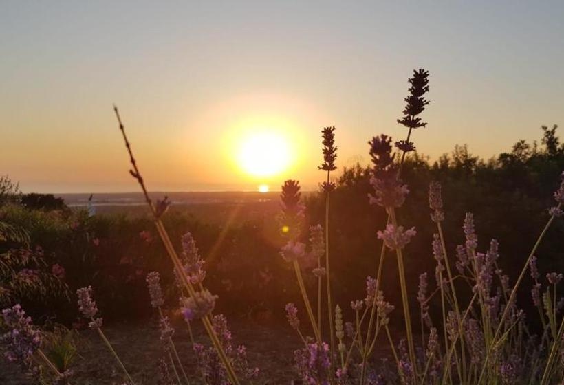 Guest House B&b Pietra Bianca