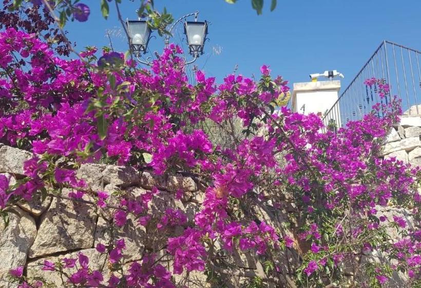 Guest House B&b Pietra Bianca