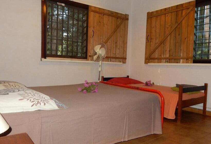 مبيت وإفطار Sarl Mayoume