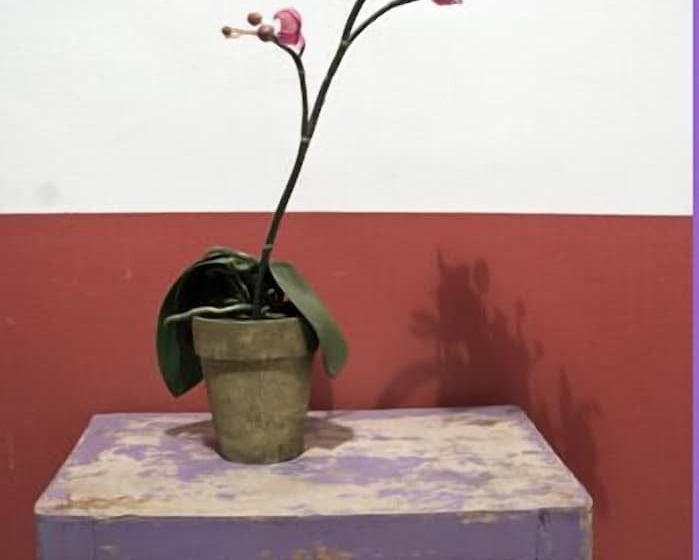 Szálloda Colombo Genova