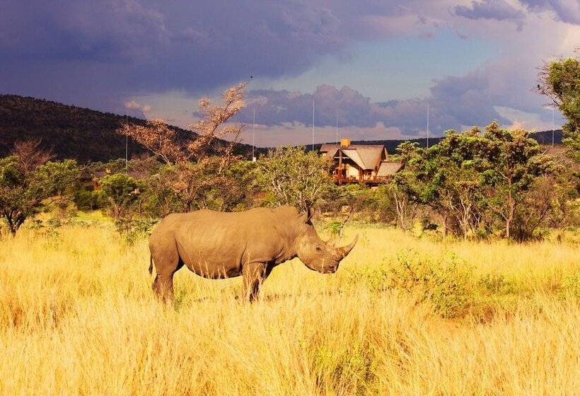 فندق Kololo Game Reserve