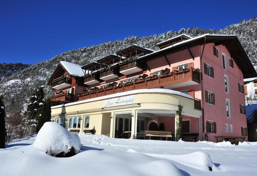 فندق Ludwigshof & Luvina