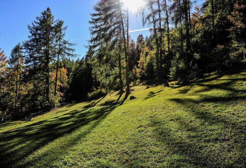 فندق Ludwigshof & Luvina