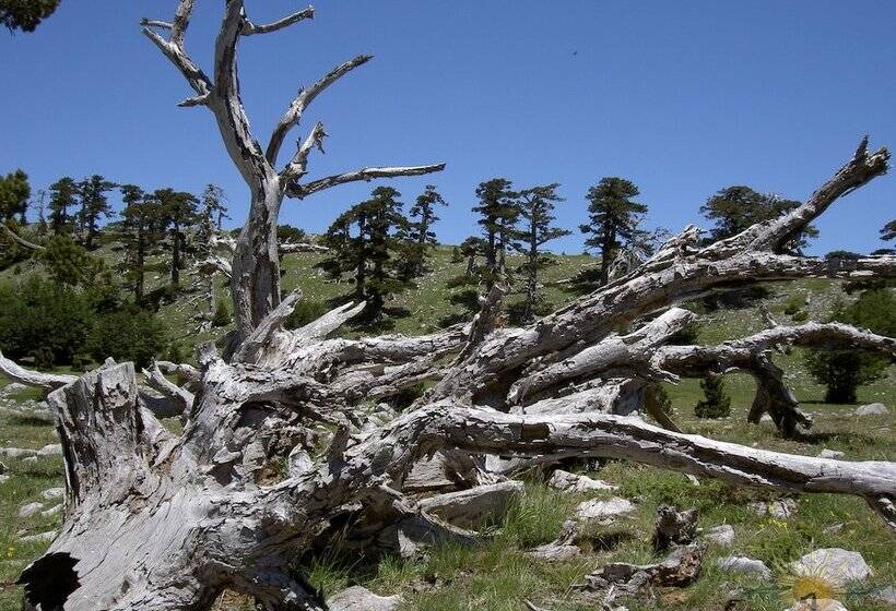 ホテル Sette E Mezzo