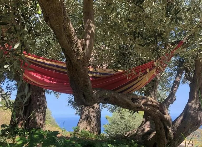 ベッドアンドブレックファースト Orto Raccolto