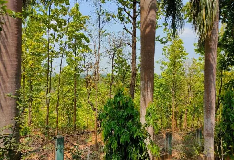 Hotelli Rimil Ecotourism