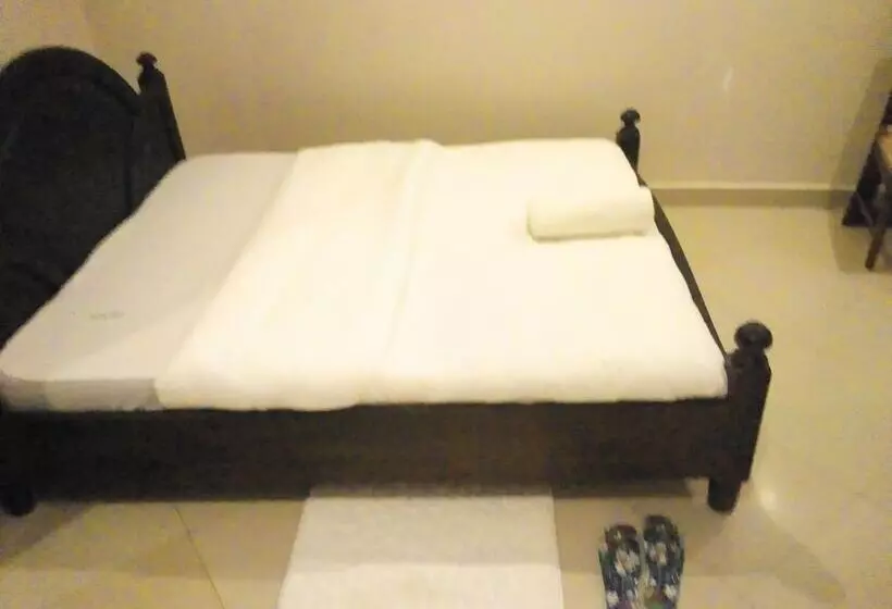 Suzie Hotels