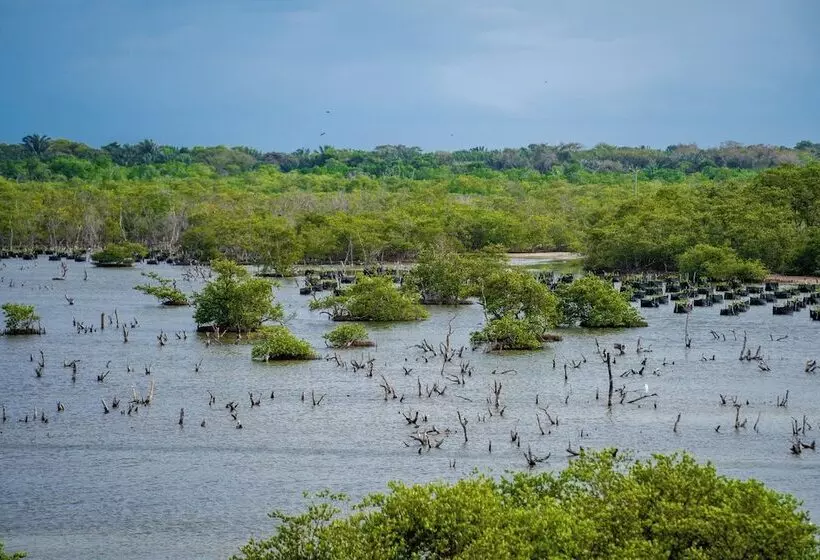 Hotelli Casa Del Mar Al Alma