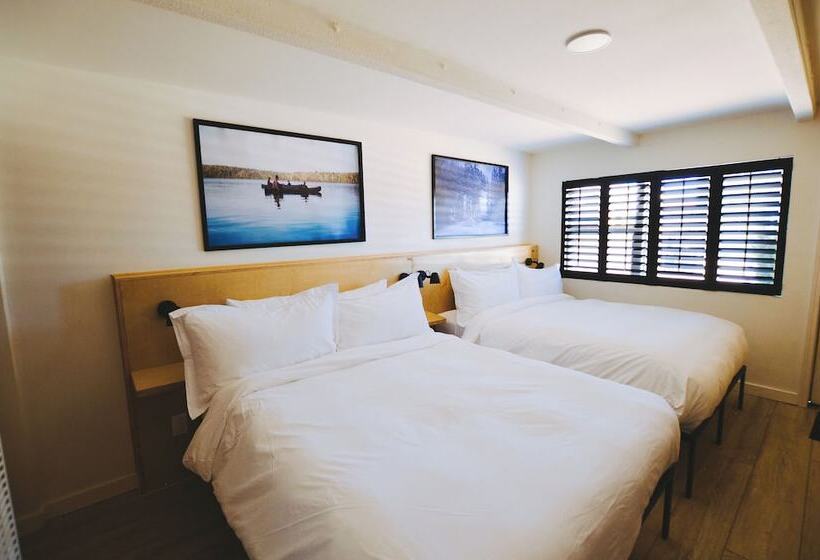 汽车旅馆 The Timberline