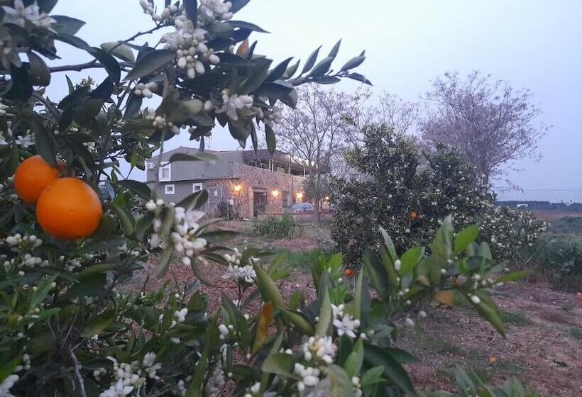 بنسيون Hostal Entreolivos