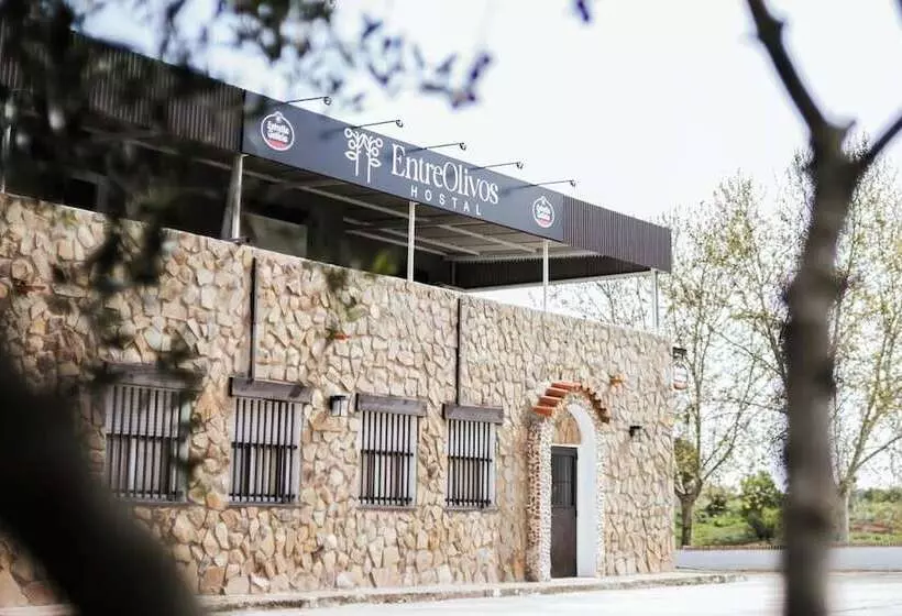 پانسیون Hostal Entreolivos